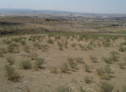 Satılır 27 sot torpaq Mehdiabad