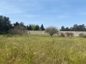 Satılır 29 sot torpaq Şüvəlan