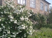 Satılır 3 otaqlı 70 m2 həyət evi Quba