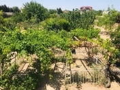 Satılır 3 otaqlı 2500 m2 bağ evi Görədil