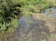 Satılır 2000 sot torpaq Xaçmaz