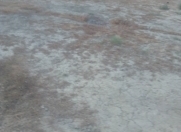 Satılır 3 sot torpaq Biləcəri