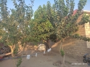 Satılır 4 otaqlı 120 m2 həyət evi Saray