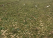 Satılır 12 sot torpaq Savalan