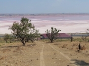 Satılır 3 sot torpaq Masazır