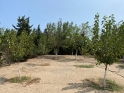 Satılır 12 sot torpaq Şüvəlan