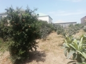 Satılır 9 sot torpaq Mehdiabad