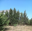 Satılır 6 sot torpaq Pirşağı