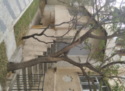 İcarəyə verilir 3 otaqlı 60 m2 ofis Şah İsmayıl Xətai m.