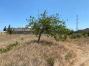 Satılır 13 sot torpaq Şüvəlan