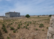 Satılır 16 sot torpaq Bilgəh