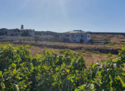 Satılır 50 sot torpaq Bilgəh