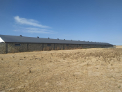 Satılır 100 sot torpaq Məhəmmədli