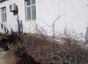 Satılır 4 otaqlı 140 m2 həyət evi Dədə Qorqud