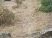 İcarəyə verilir 2 sot torpaq İsmayıllı