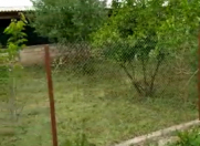 Satılır 1 otaqlı 300 m2 bağ evi Füzuli