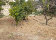 Satılır 3 sot torpaq Sumqayıt