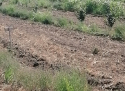 Satılır 200 sot torpaq Xudat