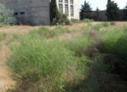 Satılır 10 sot torpaq Şağan