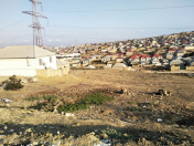 Satılır 30 sot torpaq Hökməli