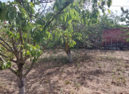 Satılır 10 sot torpaq Xızı