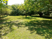 Satılır 60 sot torpaq Qəbələ