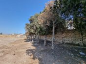 Satılır 16 sot torpaq Bilgəh