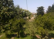 Satılır 45 sot torpaq Neftçilər m.