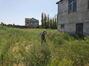 Satılır 16 sot torpaq Pirşağı