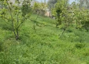 Satılır 20 sot torpaq Novxanı