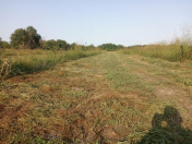 Satılır 1 sot torpaq Xaçmaz