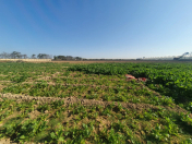 Satılır 400 sot torpaq Maştağa