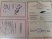 Satılır 24 sot torpaq Novxanı