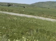 Satılır 8 sot torpaq Xızı