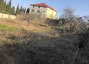 Satılır 10 sot torpaq Saray