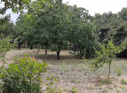 Satılır 4 otaqlı 150 m2 həyət evi İsmayıllı