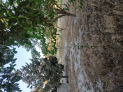 Satılır 18 sot torpaq Pirşağı