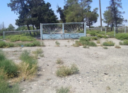 Satılır 384 sot torpaq Neftçala