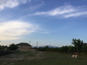 Satılır 10 sot torpaq Quba