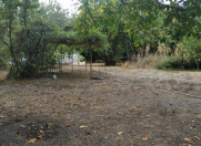 Satılır 20 sot torpaq Qəbələ