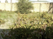 Satılır 2.5 sot torpaq Saray