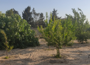 Satılır 8 sot torpaq Novxanı