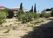 Satılır 75 sot torpaq Bilgəh