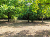 Satılır 5 sot torpaq Qəbələ