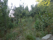 Satılır 30 sot torpaq Bakıxanov