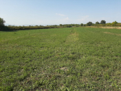 Satılır 120 sot torpaq Xaçmaz