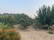 Satılır 24 sot torpaq Mərdəkan