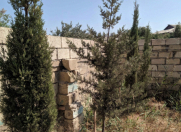 Satılır 8 sot torpaq Ələt