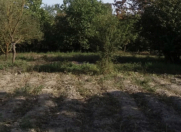 Satılır 6 sot torpaq Xaçmaz