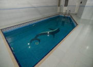 Satılır 8 otaqlı 684 m2 villa Ayna Sultanova heykəli